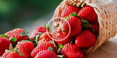 Как сохранить клубнику свежей