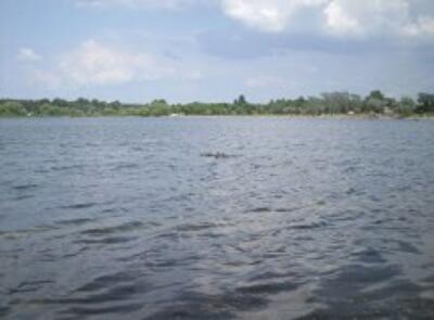 Где искупаться и рыбы наловить: 4 самых красивых озера Киева