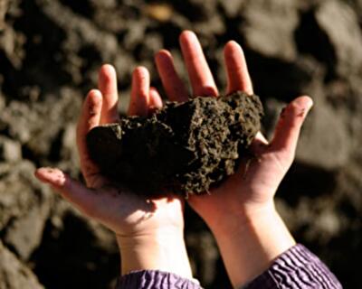 Транш МВФ и мораторий на продажу земли: есть ли связь?