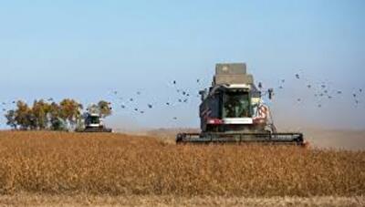 Чи можна продавати сільгоспземлі України