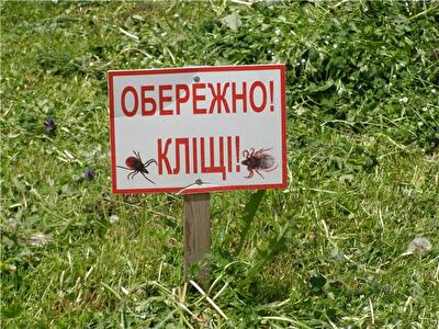 Парки Деснянского района оказались опасными для прогулок