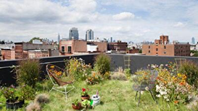 Самые уютные крыши мира