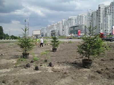 В Киеве на месте скандальной стройки появился парк