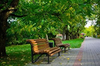 Сколько в Киеве появится новых скверов и парков в 2015 году