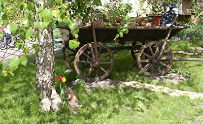 Киевские дворики: украино-итальянский уголок в Святошино. Фото