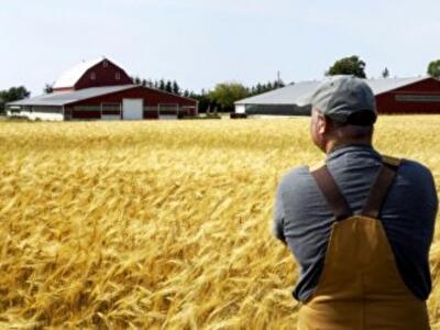 Где в Украине самая дорогая и дешевая земля
