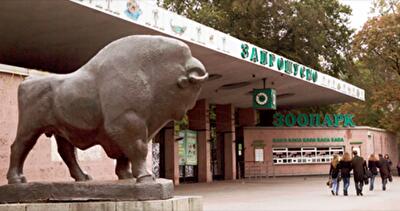 Креативная реклама Киевского зоопарка взорвала интернет