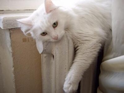 Киевляне могут засудить власти за отключение отопления 