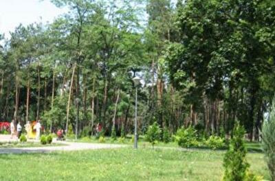 Где в Киеве появятся новые скверы (список адресов)