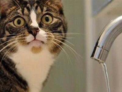 Новые планы по повышению тарифов