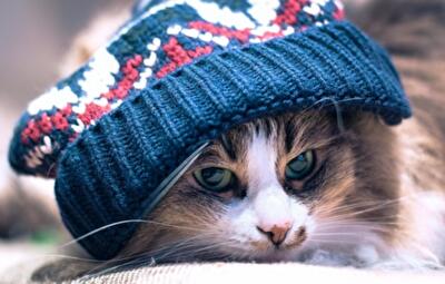 Без опалення та гарячого водопостачання у Києві залишилось 76 будинків