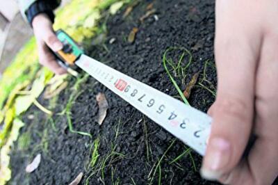 Земля без органа