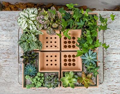 Вечнозеленый органайзер от украинского дизайнера Юлии Кононенко