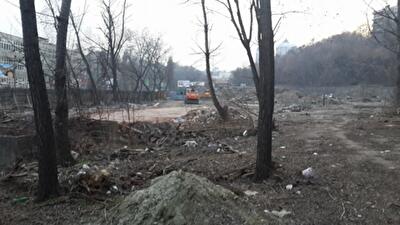 В исторической зоне Киева ведут самовольное строительство и рубят вековые деревья