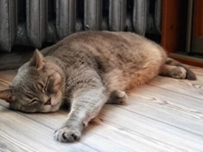 Киевлянам назвали условия завершения отопительного сезона