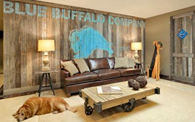 Дерево в дизайне вашего жилья