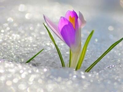 Прогноз погоды на весну-2015 