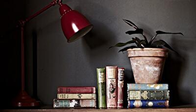 Уголок для чтения: 15 идей для создания комфортного здорового интерьера