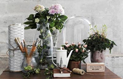 Цветы в интерьере: 5 оригинальных способов озеленить квартиру