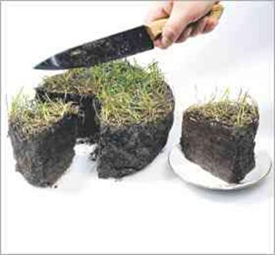 Прокуратура Харьковщины предупредила земельный дерибан на 43 миллиона