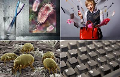 10 предметов, бактерий на которых гораздо больше, чем под ободком унитаза