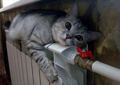 В Подольском, Соломенском и Святошинском районах Киева не топят 