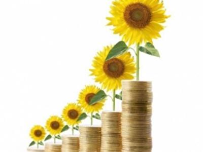 Депозит-2015: проценты растут вместе с рисками