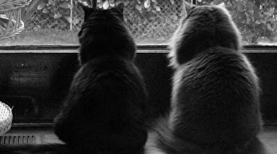 Что за окном? Панорамные рестораны Киева