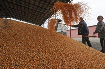 Украина в 2015 году: три сценария