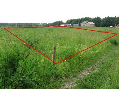 Плата за землю й інші місцеві податки: що вимагають податківці