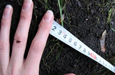 В Украине введут "китайскую" модель аренды земли