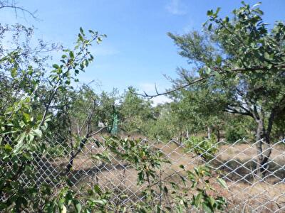 Садовому обществу “Украинка” отдадут почти 4 га земли по улице Оскольской