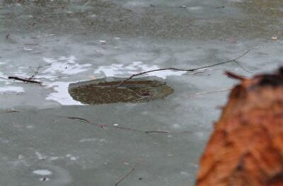 На Украину надолго надвигаются холода, ветры и снегопады