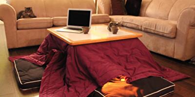 Согреваемся по-японски с тёплым столом котацу