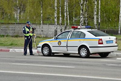 ГАИ пообещало снизить стоимость прав и номерных знаков