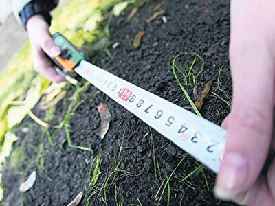 “Жилстрой-1” получил участки на улице Постышева и переулке Искринском