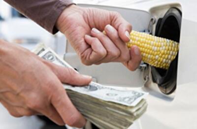 Биоэнергетика вместо газа