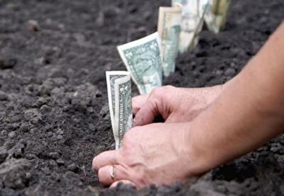 Прокуратура настаивает на возвращении из незаконной аренды земли на 7 миллионов