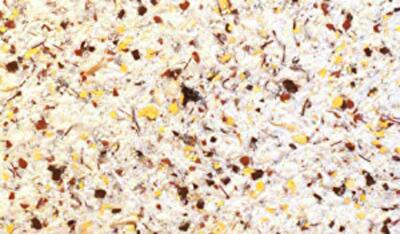 Применяем жидкие обои в интерьере