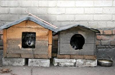 Как правительство "кинуло" граждан с налогом на недвижимость