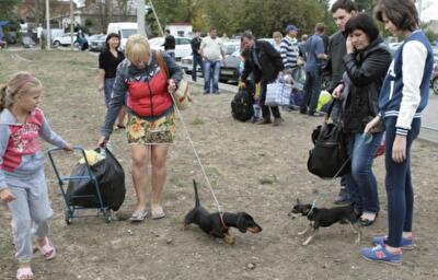 На компенсации переселенцам в 2015 году планируют выделить полмиллиарда гривень