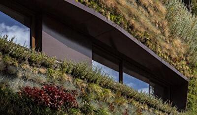 Будинок Патрічініо з вертикальним садом на стінах