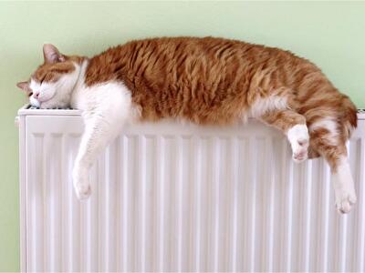 «Київводоканал» переходить на опалення приміщень за рахунок відпрацьованих мастил