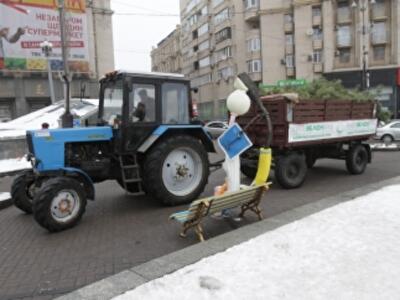 Экономия на праздники: за дешевыми елками - в пригород