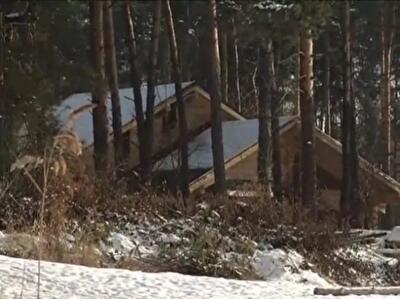 Директор Голосеевского парка вырубил в Конча-Заспе вековые деревья ради имения
	