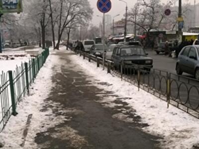 Фотофакт: киевляне отвоевали у оболонских коммунальщиков аллею и клумбу