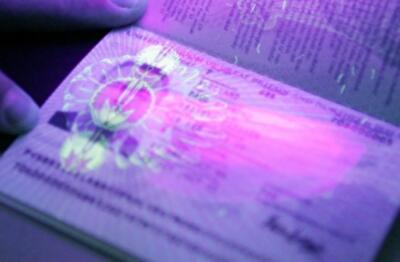 Биометрические паспорта: дорогой чемодан без ручки?