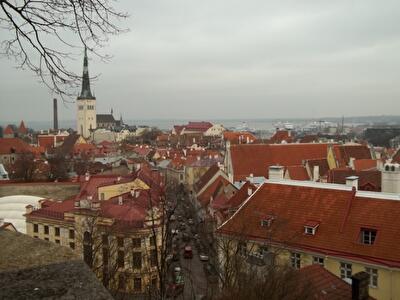 Рынок новостроек Таллина вышел из-под контроля