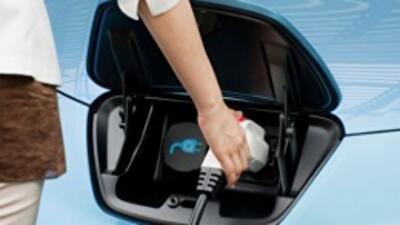 В Украине могут появиться зеленые автомобильные номера