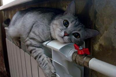 Как в Киеве сэкономить на оплате за газ и воду